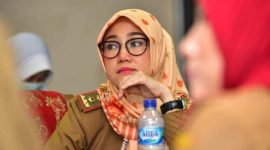 Maya Kusuma Putri, Kepala Dinas Kesehatan Kabupaten Musi Rawas 